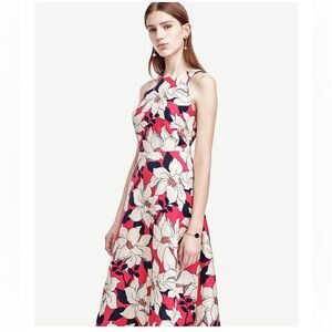 Ann Taylor Petite Floral Linen Blend Sleeveless Dress Size 8P Elegant Feminine